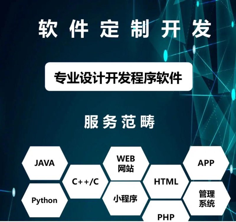 软件定制开发——企业成长的加速器